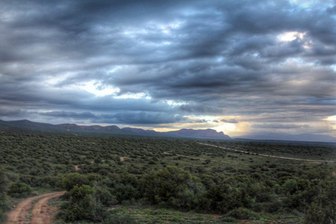 20 photos to make you pack your bags and go to Oudtshoorn