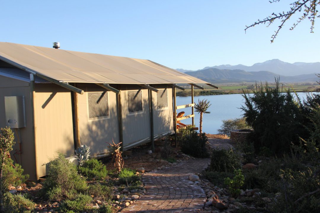 win, oudshoorn, accommodation in oudtshoorn, www.keepingyoursanity.com, travel, blogger, oudtshoorn, wildlife, #KYStravels, family, roadtrip, family friendly, holiday, vacation, klein karoo, route 62, south africa, perfect itinerary, what to do, kid friendly, child friendly, things to do, cango, fun, animals, ducks, Africamps, boutique camping, glamping, accommodation, camping, tents, things to do in oudtshoorn, what to do in oudtshoorn, where to sleep in oudtshoorn